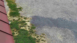 Nástup na běžecké tratě