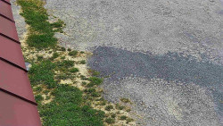 Nástup na běžecké tratě