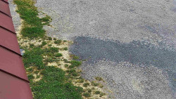 Nástup na běžecké tratě