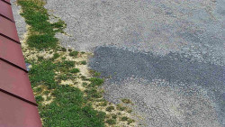 Nástup na běžecké tratě