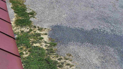 Nástup na běžecké tratě