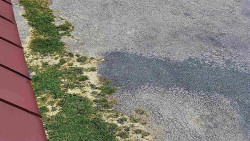 Nástup na běžecké tratě