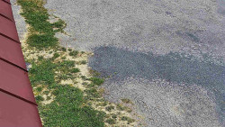 Nástup na běžecké tratě