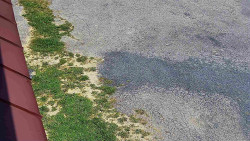 Nástup na běžecké tratě