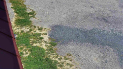 Nástup na běžecké tratě