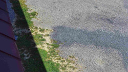 Nástup na běžecké tratě