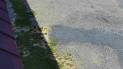 Nástup na běžecké tratě