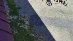 Nástup na běžecké tratě