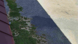 Nástup na běžecké tratě