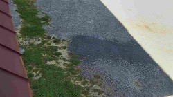 Nástup na běžecké tratě