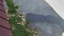 Nástup na běžecké tratě