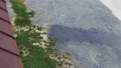 Nástup na běžecké tratě