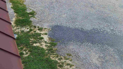 Nástup na běžecké tratě