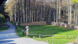 Nástup na běžecké tratě