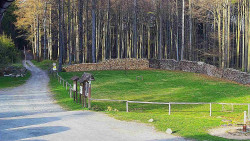 Nástup na běžecké tratě