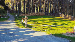 Nástup na běžecké tratě