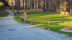 Nástup na běžecké tratě