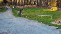 Nástup na běžecké tratě