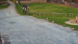 Nástup na běžecké tratě