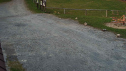 Nástup na běžecké tratě