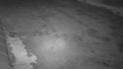 Nástup na běžecké tratě