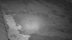 Nástup na běžecké tratě