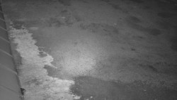 Nástup na běžecké tratě