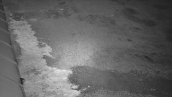 Nástup na běžecké tratě