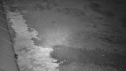 Nástup na běžecké tratě