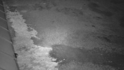 Nástup na běžecké tratě