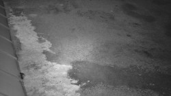 Nástup na běžecké tratě