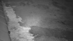 Nástup na běžecké tratě