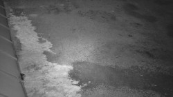 Nástup na běžecké tratě