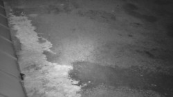 Nástup na běžecké tratě