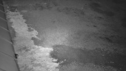 Nástup na běžecké tratě