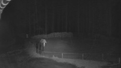 Nástup na běžecké tratě