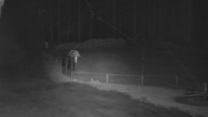 SkiAreál - Horský hotel Vsacký Cáb - Nástup na běžecké tratě - 26.4.2026 v 03:00 SkiAreál - Horský hotel Vsacký Cáb - Nástup na běžecké tratě - 26.4.2026 v 03:00