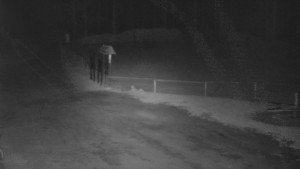 SkiAreál - Horský hotel Vsacký Cáb - Nástup na běžecké tratě - 26.4.2026 v 03:31 SkiAreál - Horský hotel Vsacký Cáb - Nástup na běžecké tratě - 26.4.2026 v 03:31