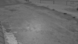 Nástup na běžecké tratě