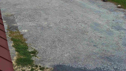 Nástup na běžecké tratě