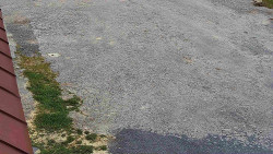 Nástup na běžecké tratě