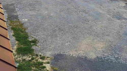 Nástup na běžecké tratě