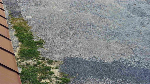 SkiAreál - Horský hotel Vsacký Cáb - Nástup na běžecké tratě - 26.4.2026 v 06:45 SkiAreál - Horský hotel Vsacký Cáb - Nástup na běžecké tratě - 26.4.2026 v 06:45