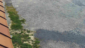 SkiAreál - Horský hotel Vsacký Cáb - Nástup na běžecké tratě - 26.4.2026 v 07:00 SkiAreál - Horský hotel Vsacký Cáb - Nástup na běžecké tratě - 26.4.2026 v 07:00