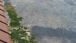 Nástup na běžecké tratě