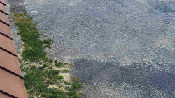 Nástup na běžecké tratě