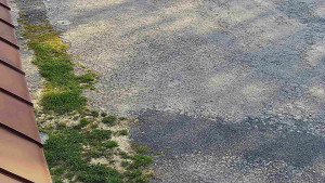 SkiAreál - Horský hotel Vsacký Cáb - Nástup na běžecké tratě - 26.4.2026 v 07:45 SkiAreál - Horský hotel Vsacký Cáb - Nástup na běžecké tratě - 26.4.2026 v 07:45