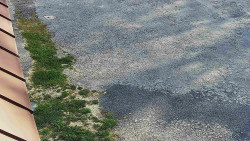 Nástup na běžecké tratě