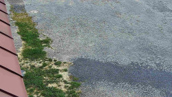 Nástup na běžecké tratě