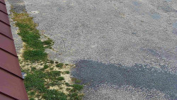 Nástup na běžecké tratě